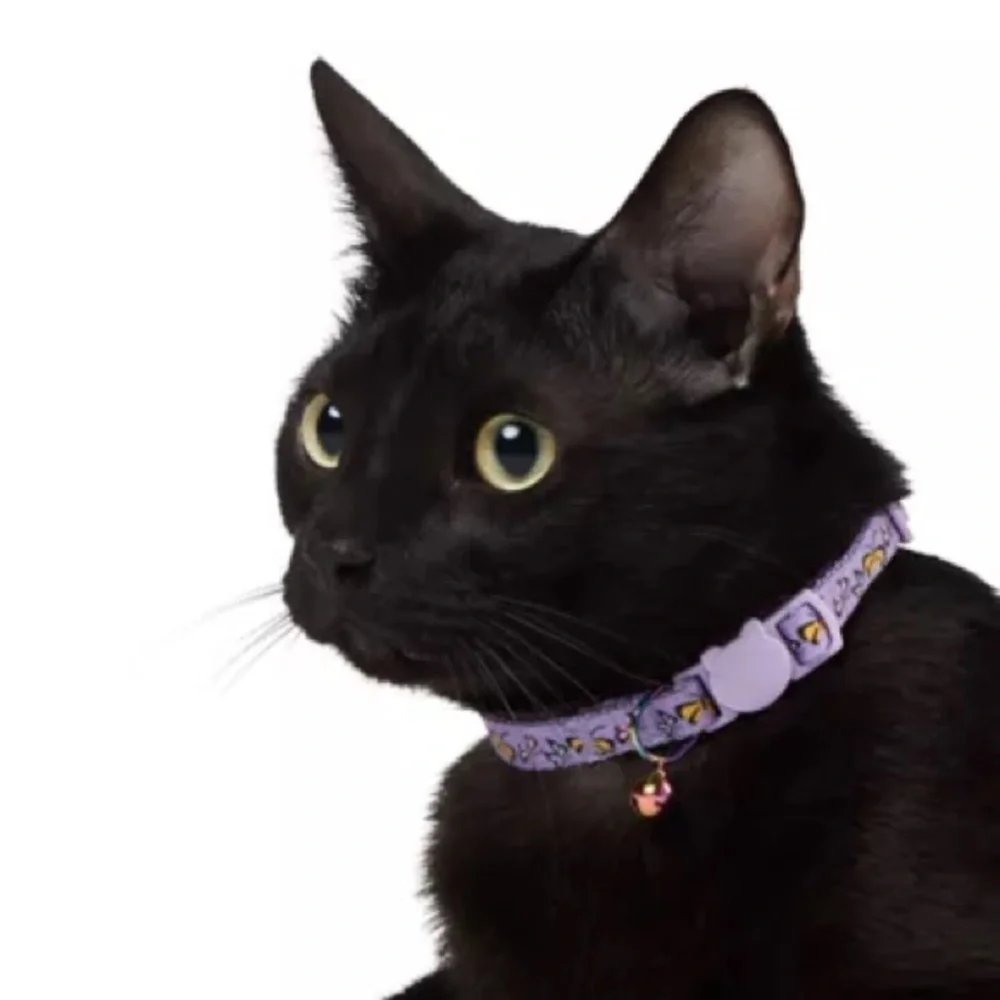 🐈 Whisker City Purple Cat Collar with Bell & Butterfly Design Adj Breakaway NWT